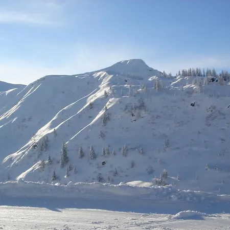 Prázdninový dům Brechhorn Premium *