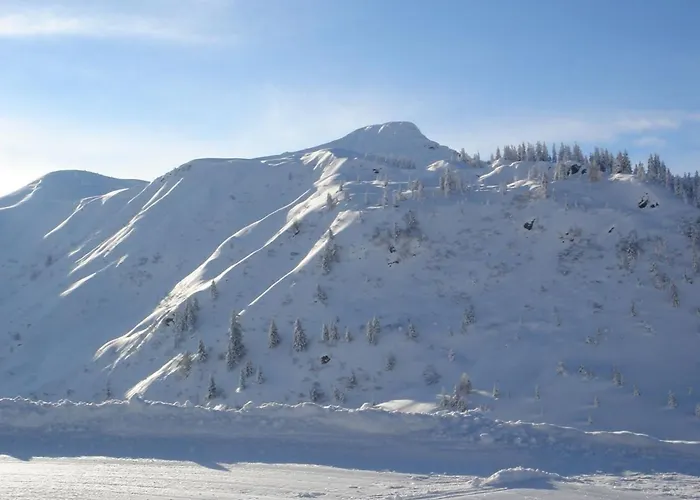 Prázdninový dům Brechhorn Premium *